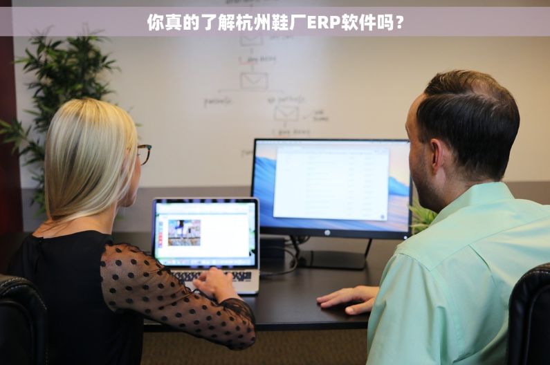 你真的了解杭州鞋厂ERP软件吗？
