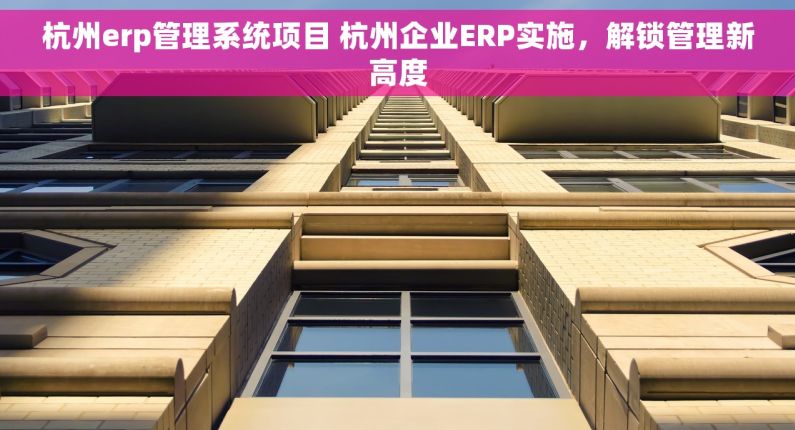 杭州erp管理系统项目 杭州企业ERP实施，解锁管理新高度