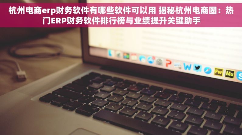 杭州电商erp财务软件有哪些软件可以用 揭秘杭州电商圈：热门ERP财务软件排行榜与业绩提升关键助手
