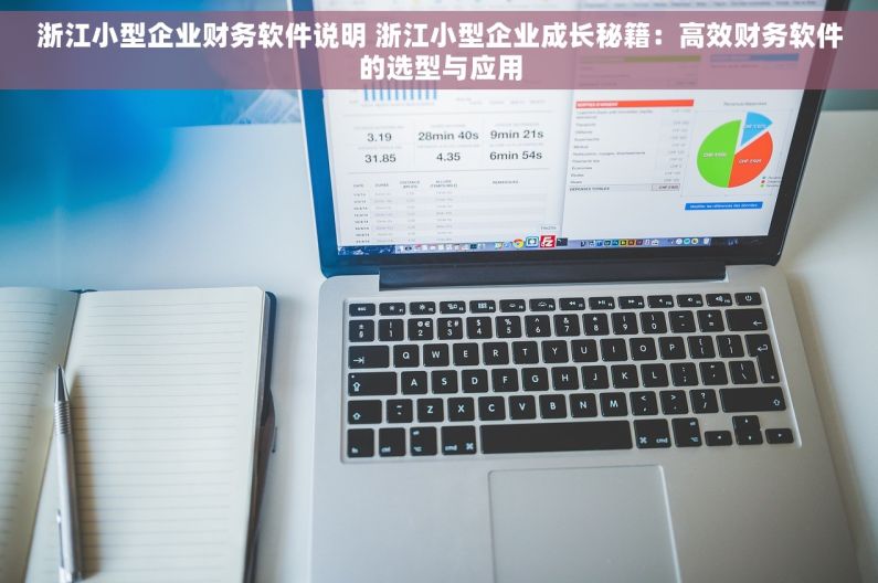 浙江小型企业财务软件说明 浙江小型企业成长秘籍：高效财务软件的选型与应用