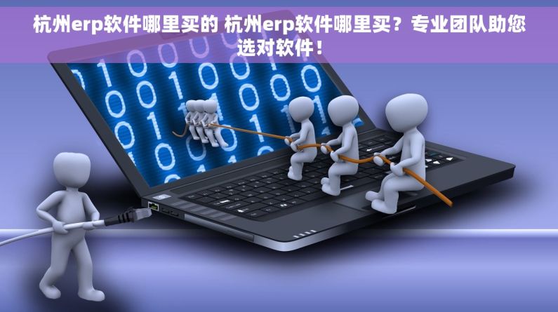 杭州erp软件哪里买的 杭州erp软件哪里买？专业团队助您选对软件！