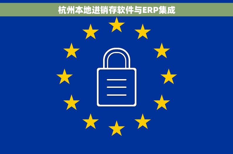 杭州本地进销存软件与ERP集成