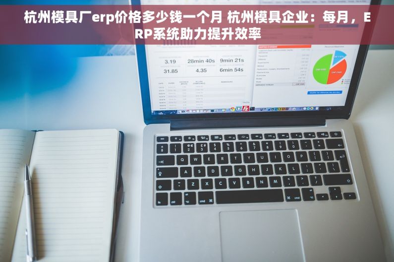 杭州模具厂erp价格多少钱一个月 杭州模具企业：每月，ERP系统助力提升效率