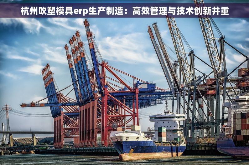 杭州吹塑模具erp生产制造：高效管理与技术创新并重