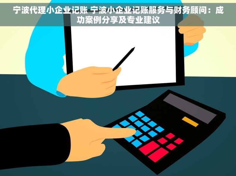 宁波代理小企业记账 宁波小企业记账服务与财务顾问：成功案例分享及专业建议