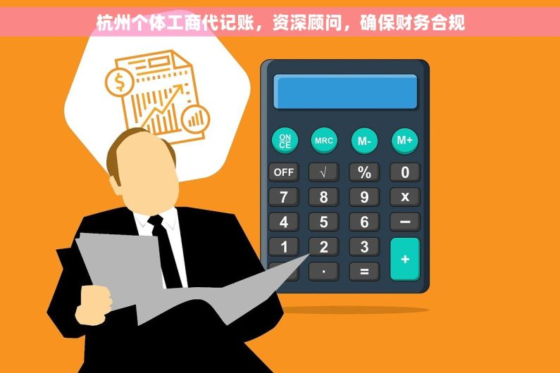 杭州个体工商代记账，资深顾问，确保财务合规