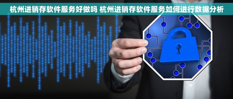 杭州进销存软件服务好做吗 杭州进销存软件服务如何进行数据分析