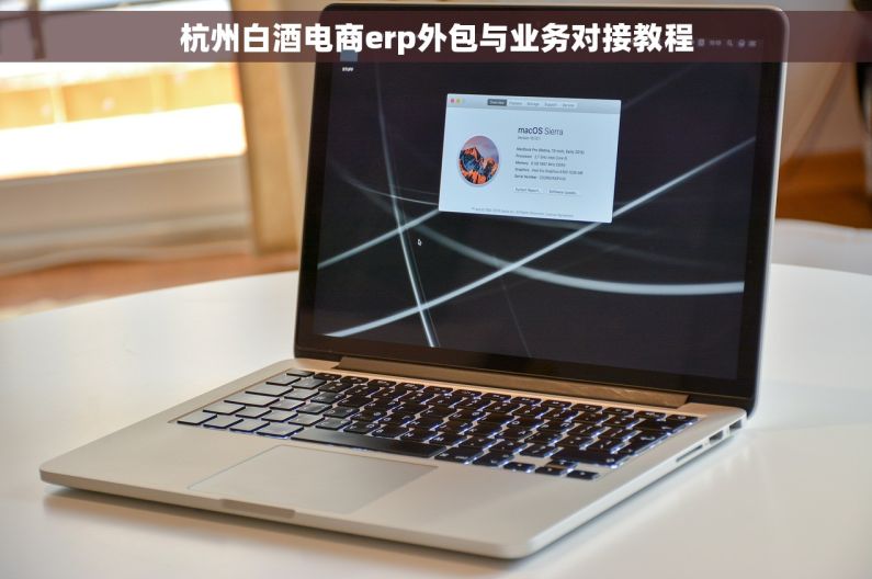 杭州白酒电商erp外包与业务对接教程