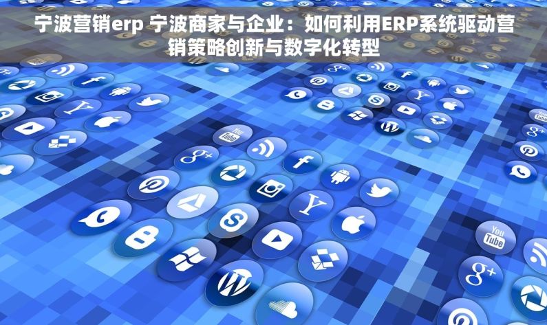宁波营销erp 宁波商家与企业：如何利用ERP系统驱动营销策略创新与数字化转型