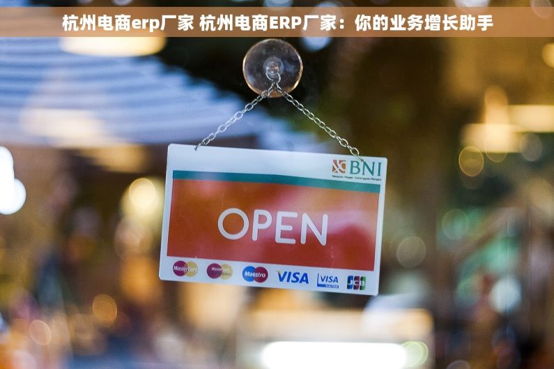 杭州电商erp厂家 杭州电商ERP厂家：你的业务增长助手