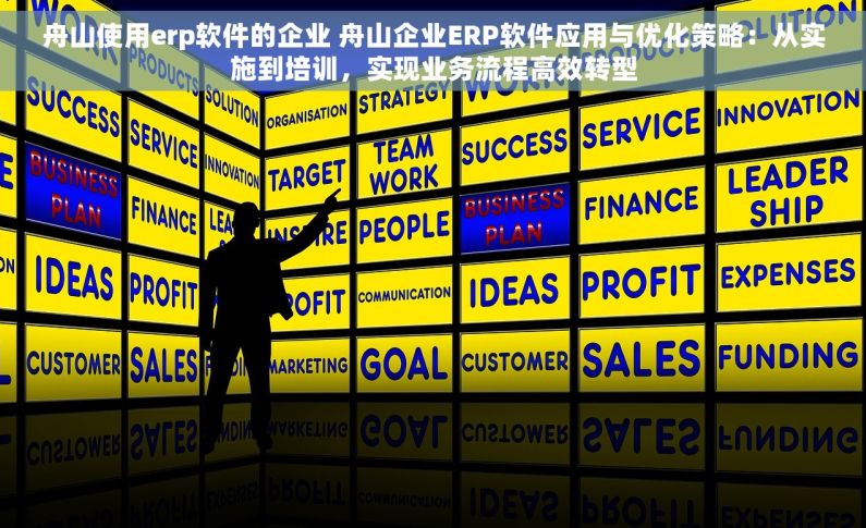 舟山使用erp软件的企业 舟山企业ERP软件应用与优化策略：从实施到培训，实现业务流程高效转型