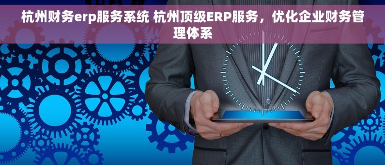 杭州财务erp服务系统 杭州顶级ERP服务，优化企业财务管理体系