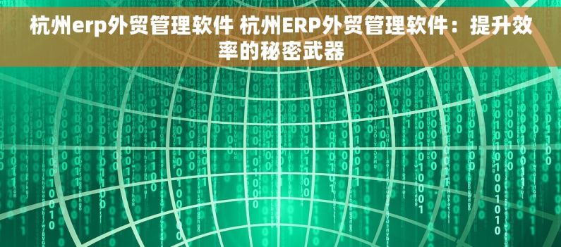 杭州erp外贸管理软件 杭州ERP外贸管理软件：提升效率的秘密武器
