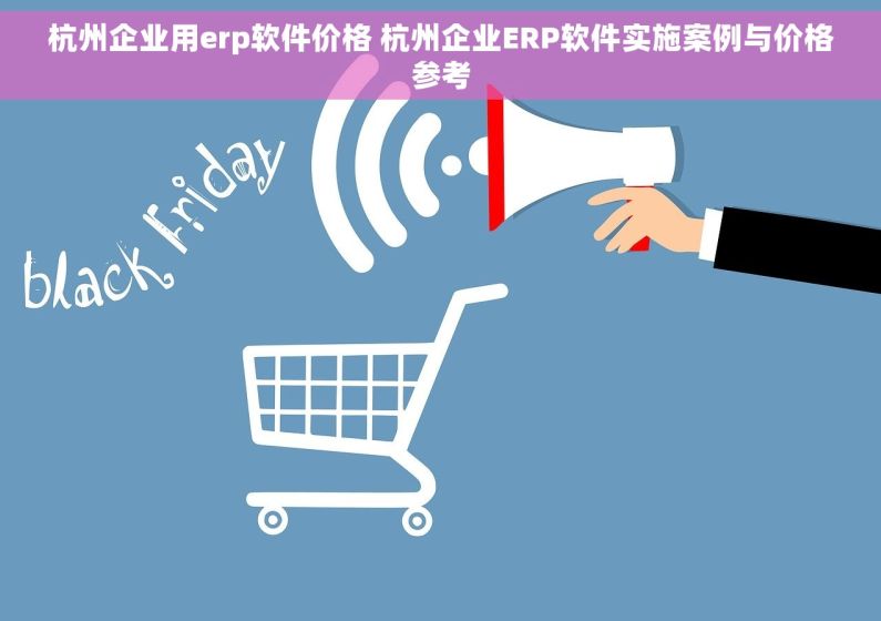 杭州企业用erp软件价格 杭州企业ERP软件实施案例与价格参考