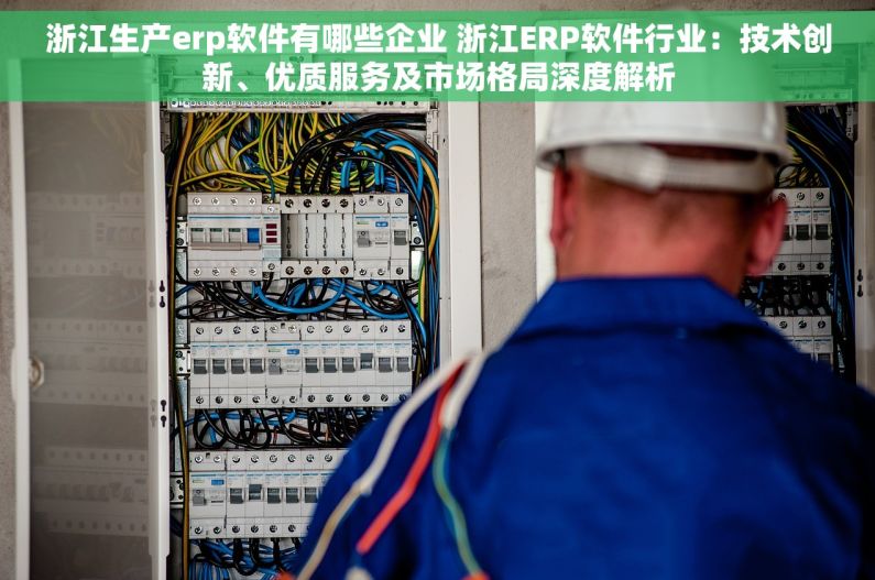 浙江生产erp软件有哪些企业 浙江ERP软件行业：技术创新、优质服务及市场格局深度解析