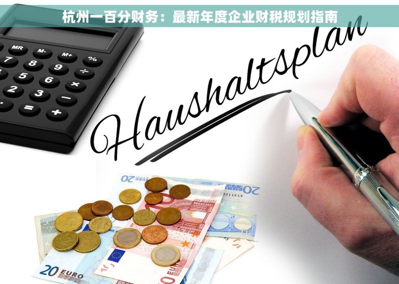 杭州一百分财务：最新年度企业财税规划指南
