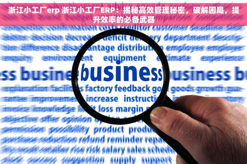 浙江小工厂erp 浙江小工厂ERP：揭秘高效管理秘密，破解困局，提升效率的必备武器