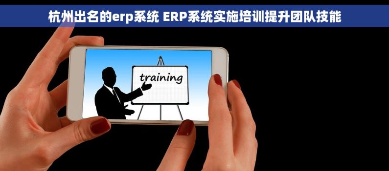 杭州出名的erp系统 ERP系统实施培训提升团队技能