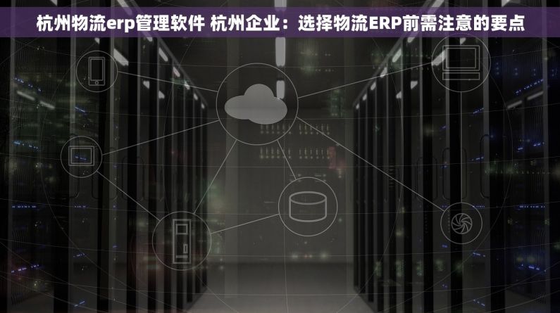 杭州物流erp管理软件 杭州企业：选择物流ERP前需注意的要点