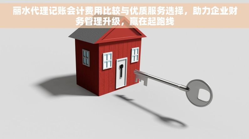 丽水代理记账会计费用比较与优质服务选择，助力企业财务管理升级，赢在起跑线