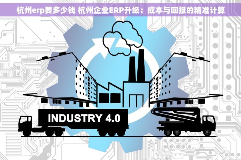 杭州erp要多少钱 杭州企业ERP升级：成本与回报的精准计算