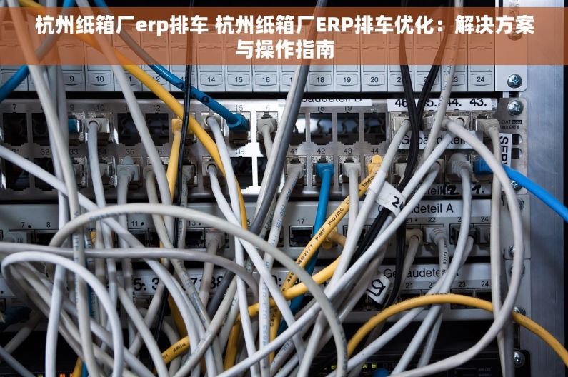 杭州纸箱厂erp排车 杭州纸箱厂ERP排车优化：解决方案与操作指南