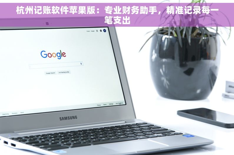 杭州记账软件苹果版：专业财务助手，精准记录每一笔支出