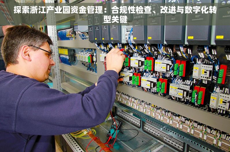 探索浙江产业园资金管理：合规性检查、改进与数字化转型关键