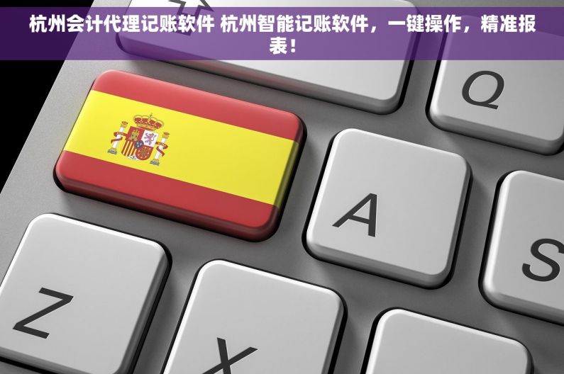杭州会计代理记账软件 杭州智能记账软件，一键操作，精准报表！