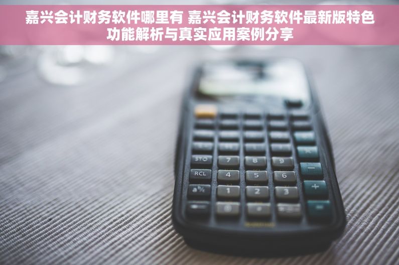 嘉兴会计财务软件哪里有 嘉兴会计财务软件最新版特色功能解析与真实应用案例分享