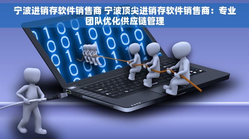 宁波进销存软件销售商 宁波顶尖进销存软件销售商：专业团队优化供应链管理