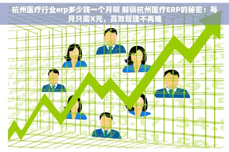 杭州医疗行业erp多少钱一个月啊 解锁杭州医疗ERP的秘密：每月只需X元，高效管理不再难