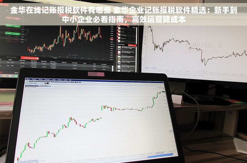 金华在线记账报税软件有哪些 金华企业记账报税软件精选：新手到中小企业必看指南，高效运营降成本