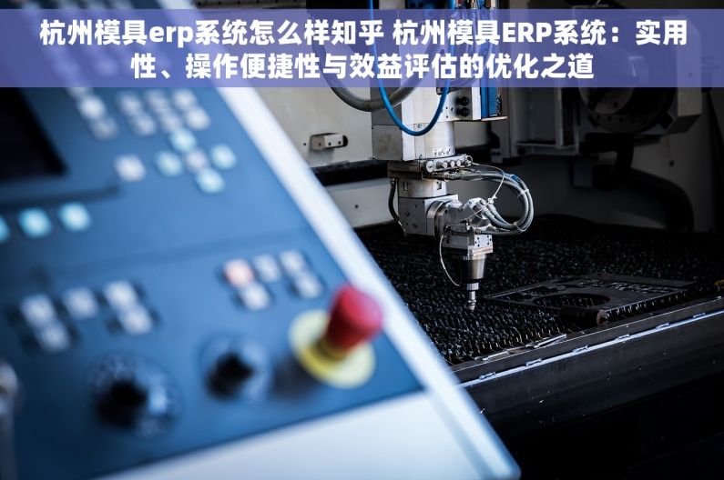 杭州模具erp系统怎么样知乎 杭州模具ERP系统：实用性、操作便捷性与效益评估的优化之道