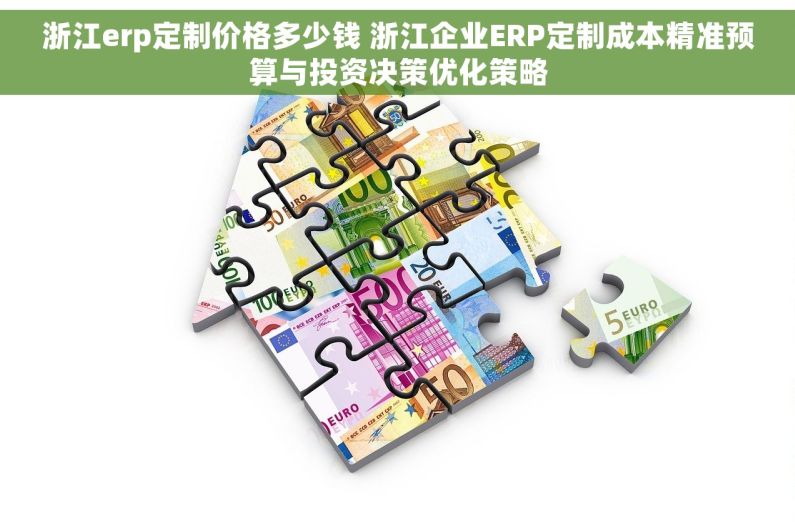 浙江erp定制价格多少钱 浙江企业ERP定制成本精准预算与投资决策优化策略