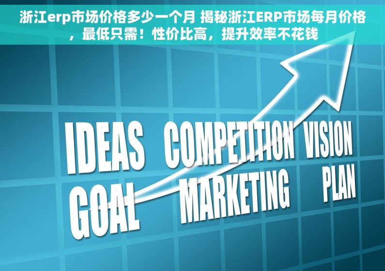 浙江erp市场价格多少一个月 揭秘浙江ERP市场每月价格，最低只需！性价比高，提升效率不花钱
