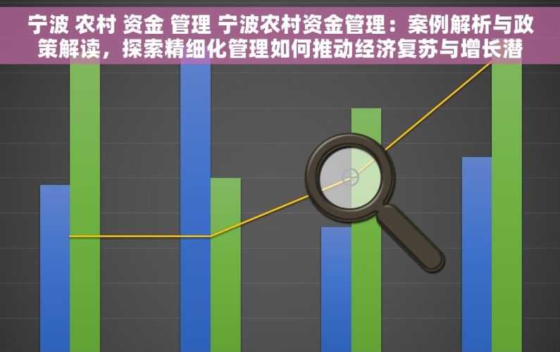 宁波 农村 资金 管理 宁波农村资金管理：案例解析与政策解读，探索精细化管理如何推动经济复苏与增长潜力