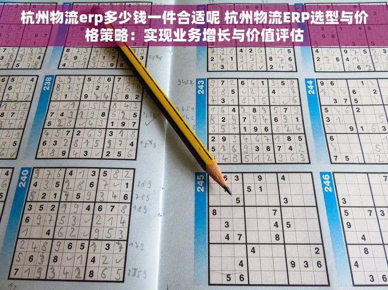 杭州物流erp多少钱一件合适呢 杭州物流ERP选型与价格策略：实现业务增长与价值评估
