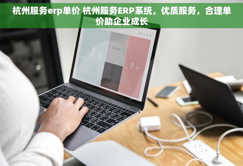杭州服务erp单价 杭州服务ERP系统，优质服务，合理单价助企业成长
