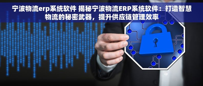 宁波物流erp系统软件 揭秘宁波物流ERP系统软件：打造智慧物流的秘密武器，提升供应链管理效率