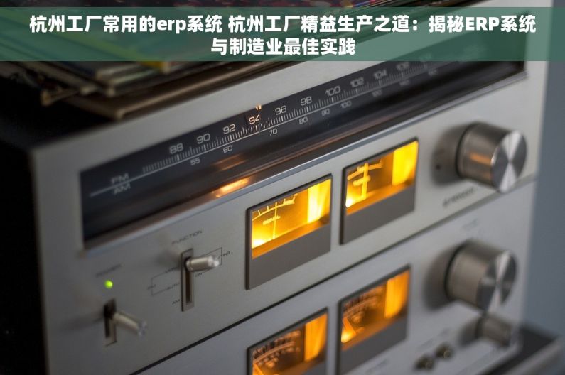 杭州工厂常用的erp系统 杭州工厂精益生产之道：揭秘ERP系统与制造业最佳实践