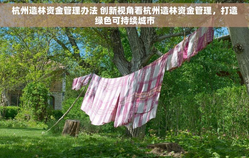杭州造林资金管理办法 创新视角看杭州造林资金管理，打造绿色可持续城市