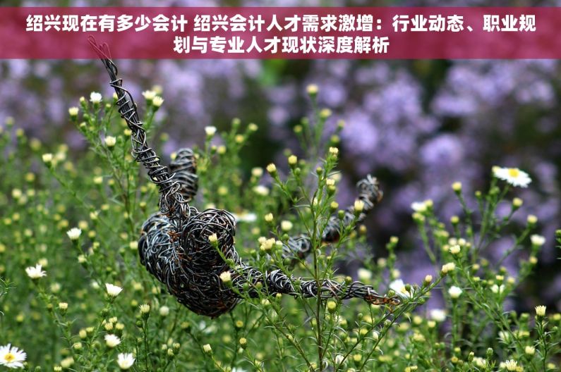 绍兴现在有多少会计 绍兴会计人才需求激增：行业动态、职业规划与专业人才现状深度解析
