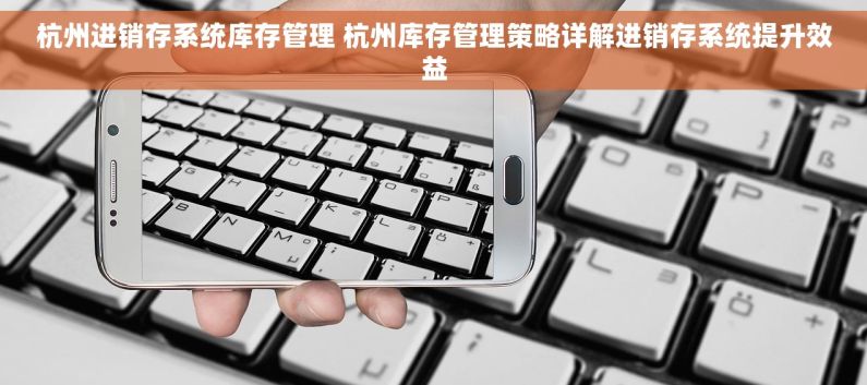 杭州进销存系统库存管理 杭州库存管理策略详解进销存系统提升效益