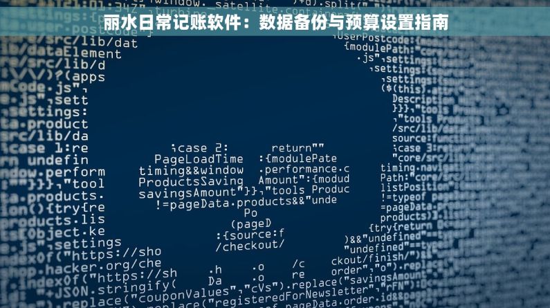 丽水日常记账软件：数据备份与预算设置指南
