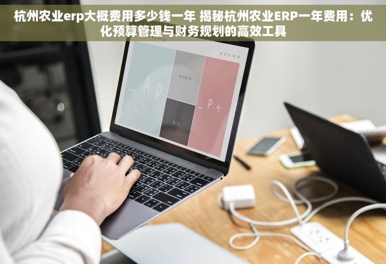 杭州农业erp大概费用多少钱一年 揭秘杭州农业ERP一年费用：优化预算管理与财务规划的高效工具