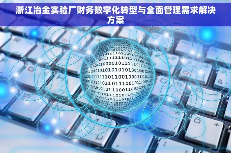 浙江冶金实验厂财务数字化转型与全面管理需求解决方案