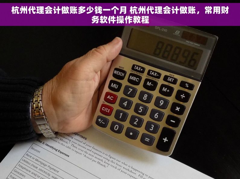 杭州代理会计做账多少钱一个月 杭州代理会计做账，常用财务软件操作教程