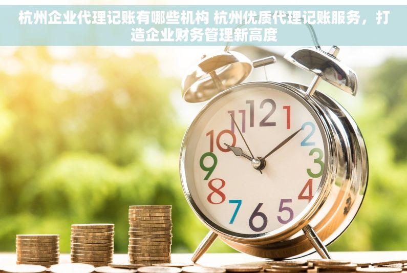 杭州企业代理记账有哪些机构 杭州优质代理记账服务，打造企业财务管理新高度