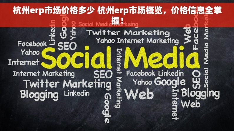 杭州erp市场价格多少 杭州erp市场概览，价格信息全掌握！
